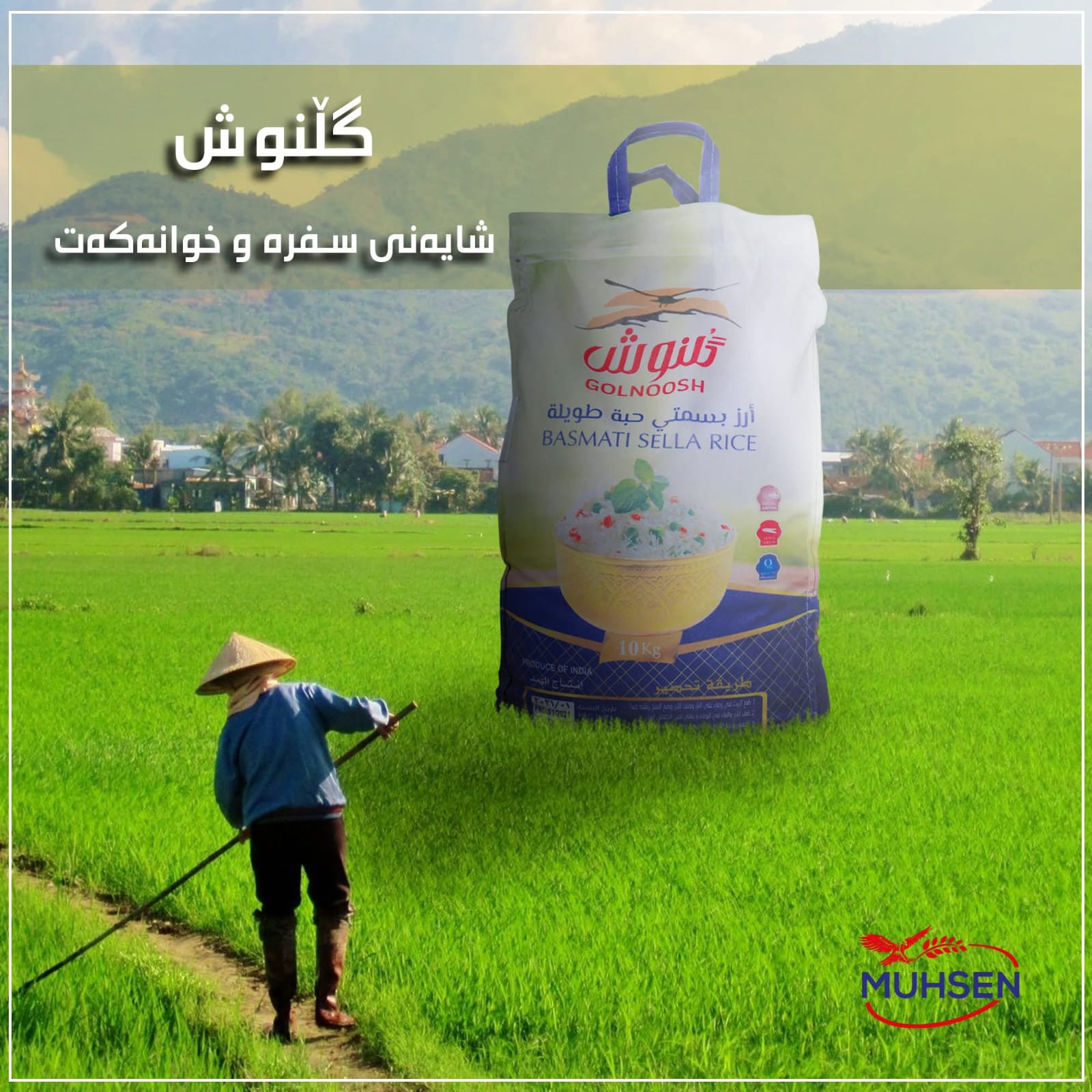 برنجی دەنک درێژی گڵنوش
